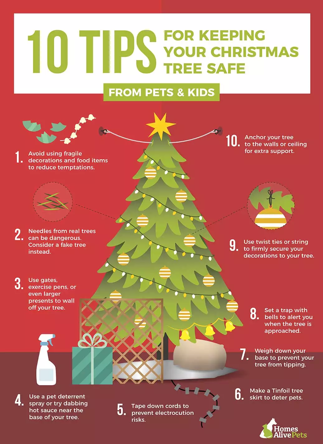 10 Tips For Keeping Your Dog Away From Your Christmas Tree   Christmas Tree Infographic.webp